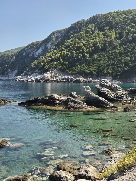 Kastri